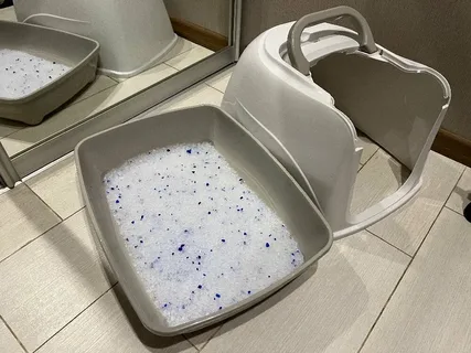 پودر لباسشویی ضد قارچ با محافظتی قوی و پاکیزگی مطمئن